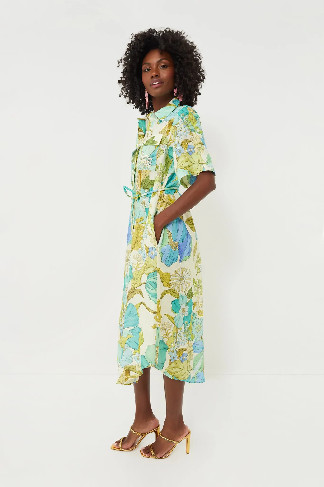 Blue Janis Shirtdress