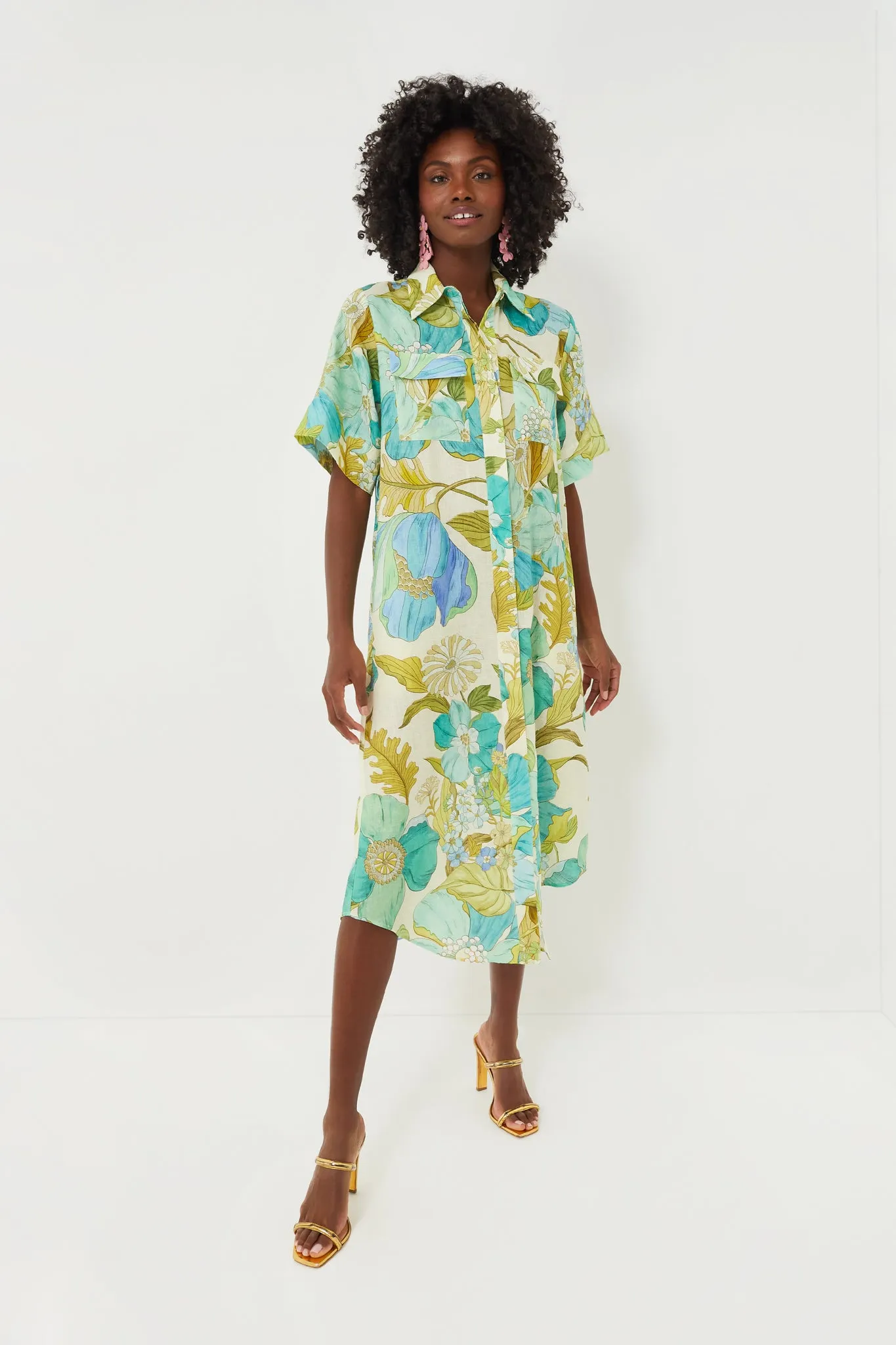 Blue Janis Shirtdress