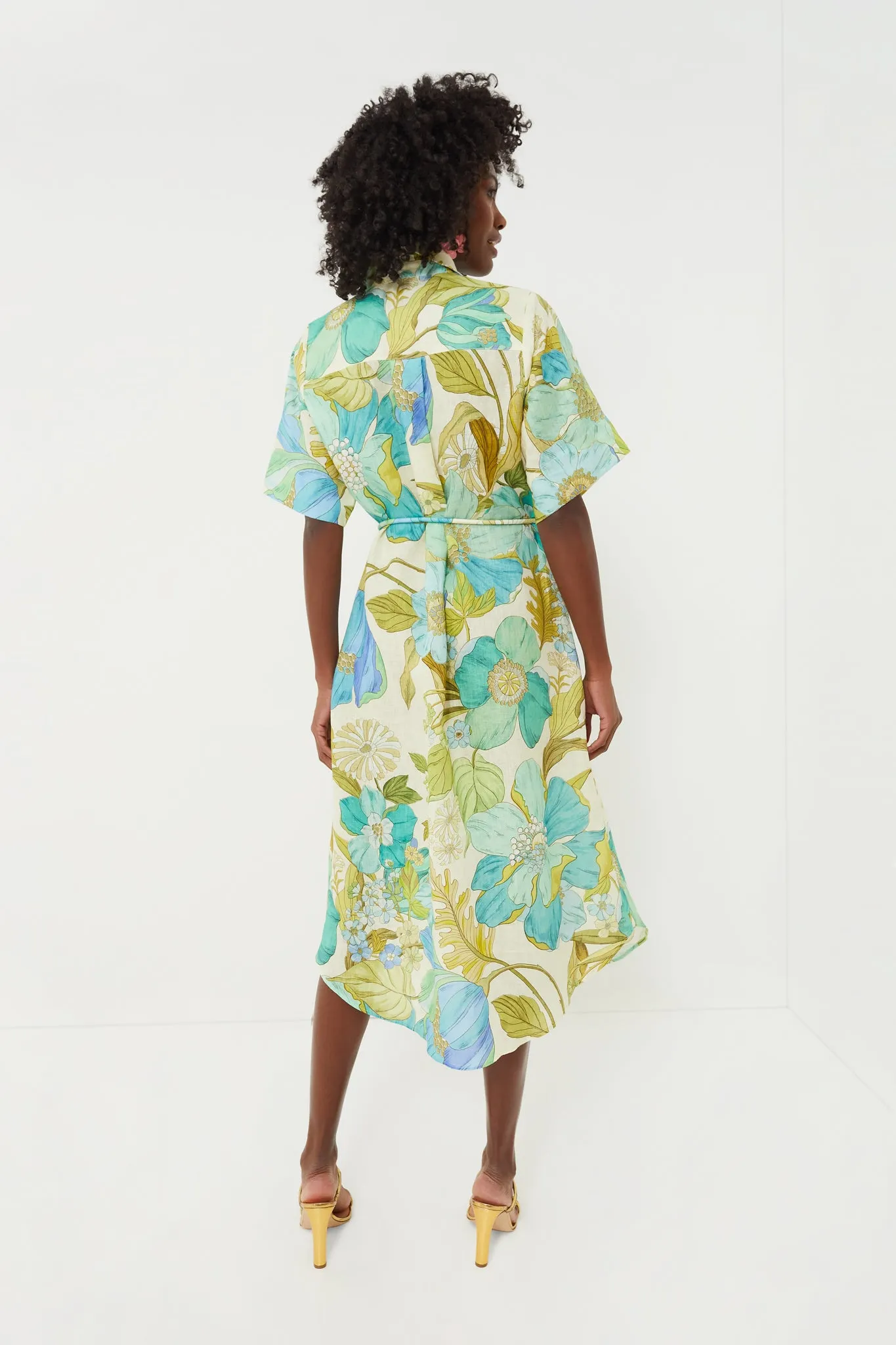 Blue Janis Shirtdress