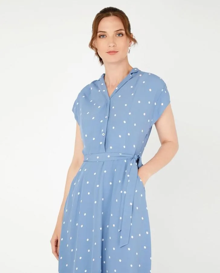 Scatter Spot Fit and Flare Dress